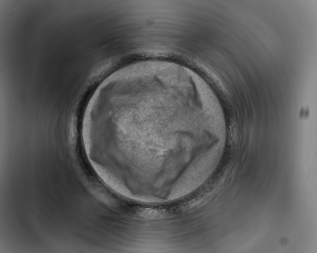 X0000102500494200809051349