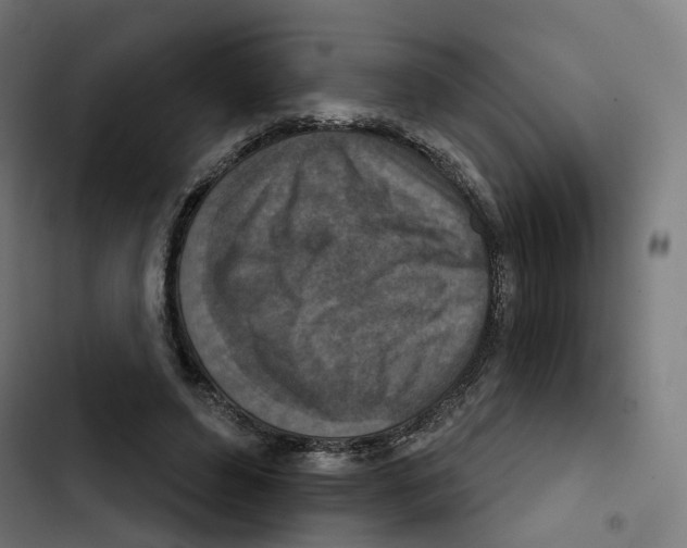 X0000102500496200809051349