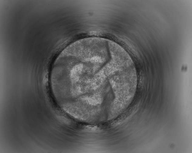 X0000102500502200809051348