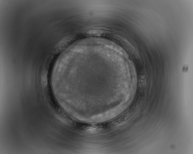 X0000102500504200809051348