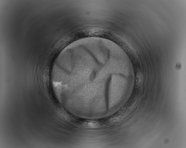 X0000102500506200809051348