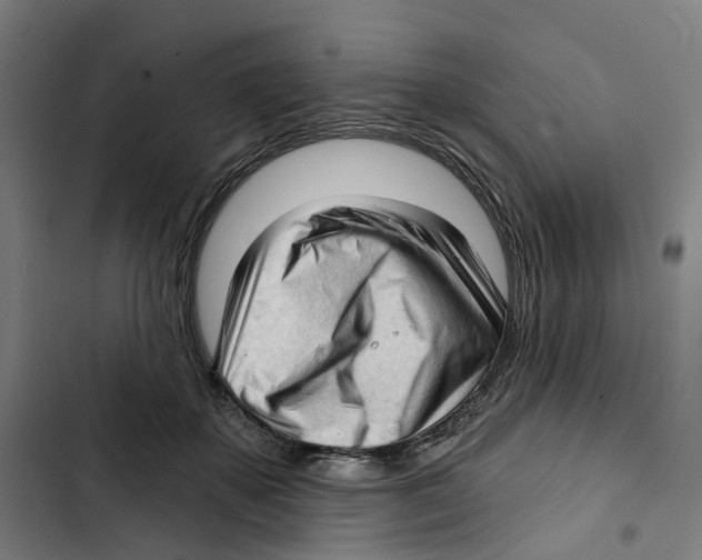 X0000102500507200809051348