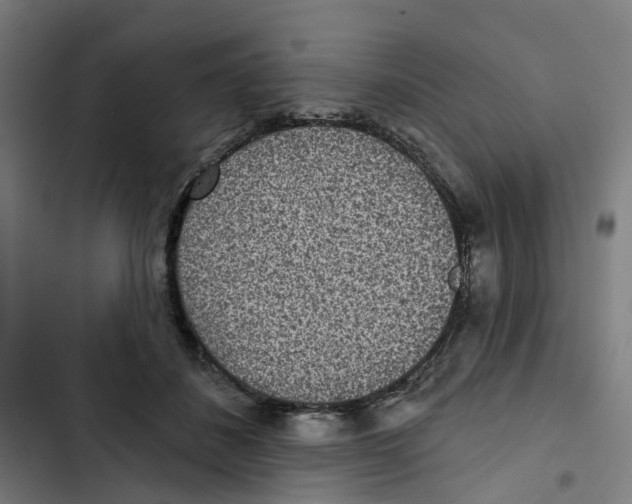 X0000102500508200809051348