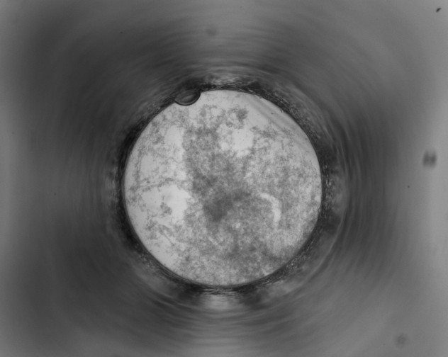 X0000102500510200809051348