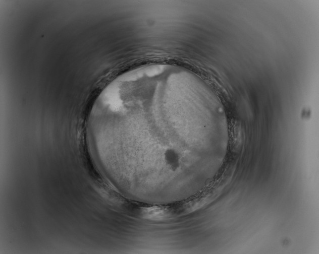 X0000102500511200809051348