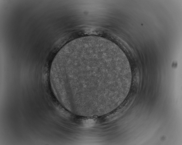 X0000102500513200809051348