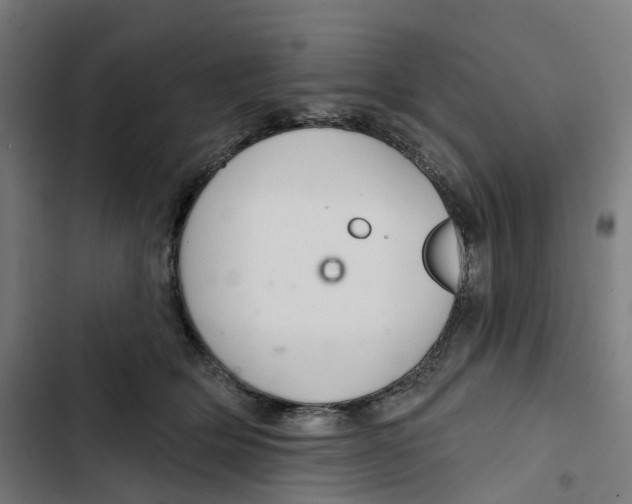 X0000102500514200809051348