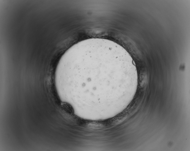 X0000102500515200809051348