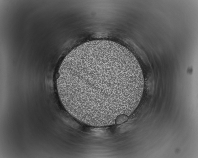 X0000102500516200809051348