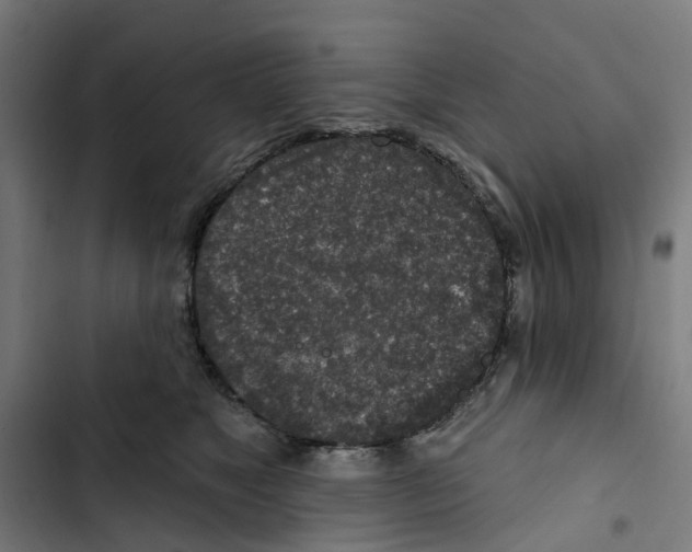 X0000102500517200809051348