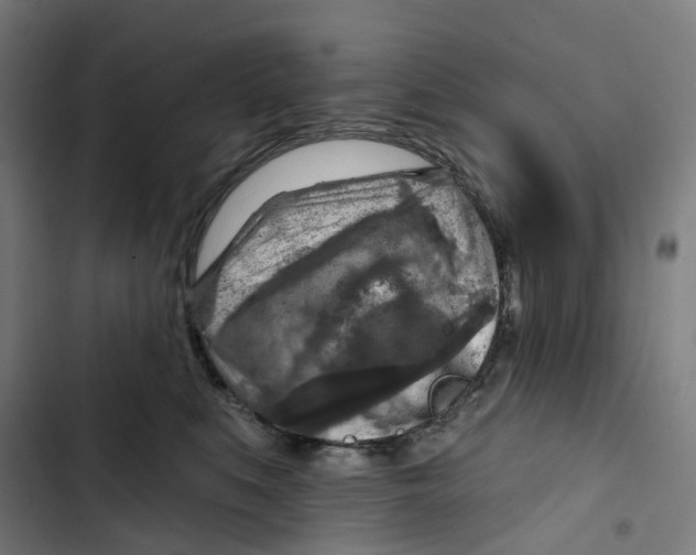 X0000102500519200809051348