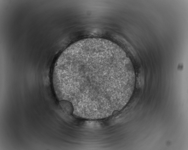 X0000102500520200809051348