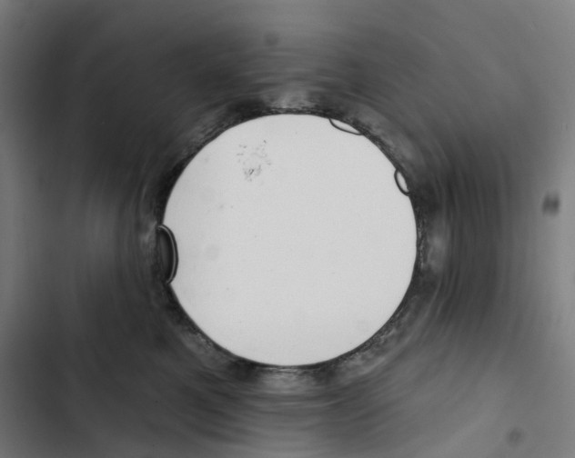 X0000102500521200809051348