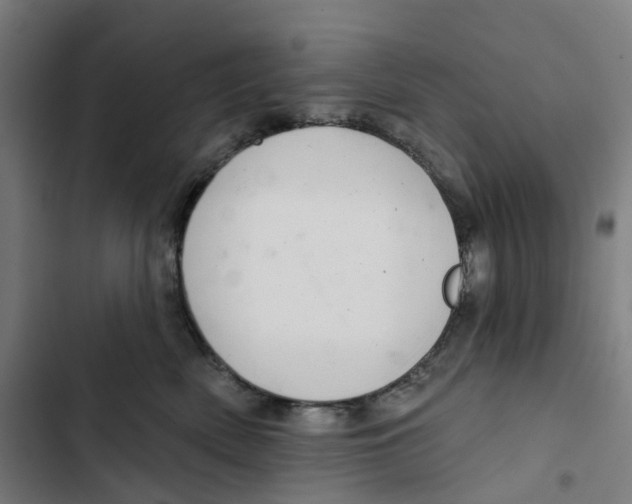 X0000102500522200809051348