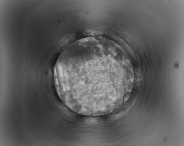 X0000102500523200809051348