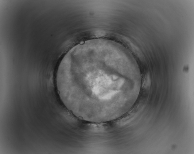 X0000102500524200809051348