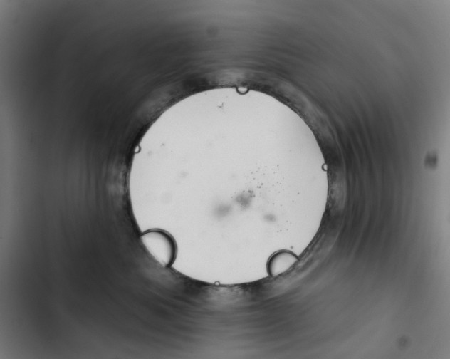 X0000102500525200809051348