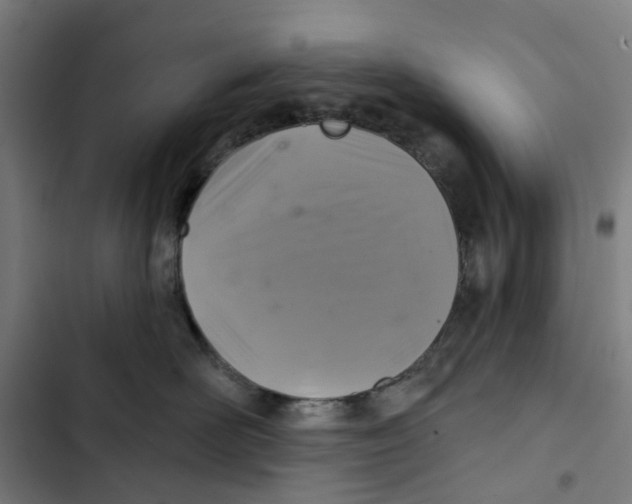 X0000102500526200809051348