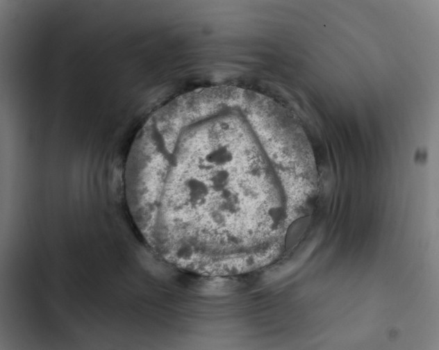 X0000102500527200809051348