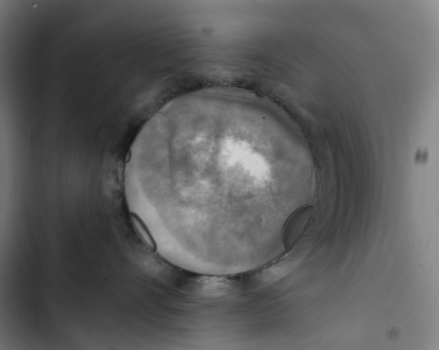 X0000102500528200809051348