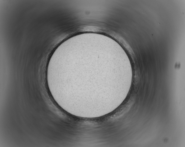 X0000102500529200809051347