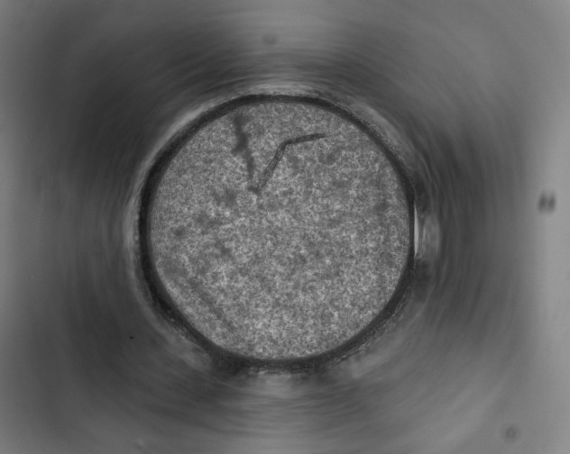 X0000102500531200809051347