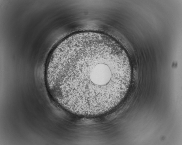 X0000102500534200809051347