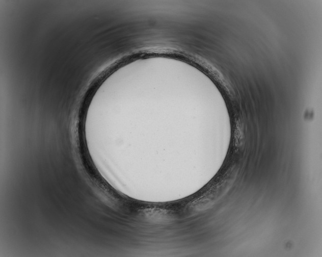 X0000102500535200809051348