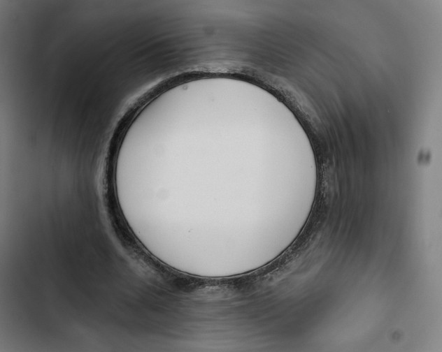 X0000102500536200809051348