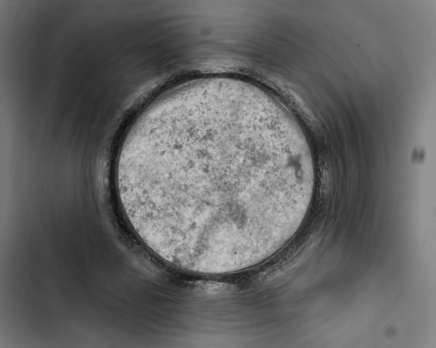 X0000102500539200809051348