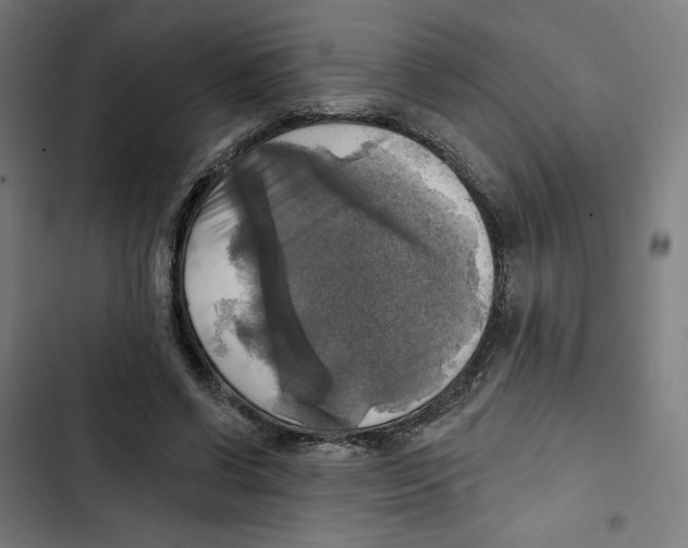 X0000102500542200809051348