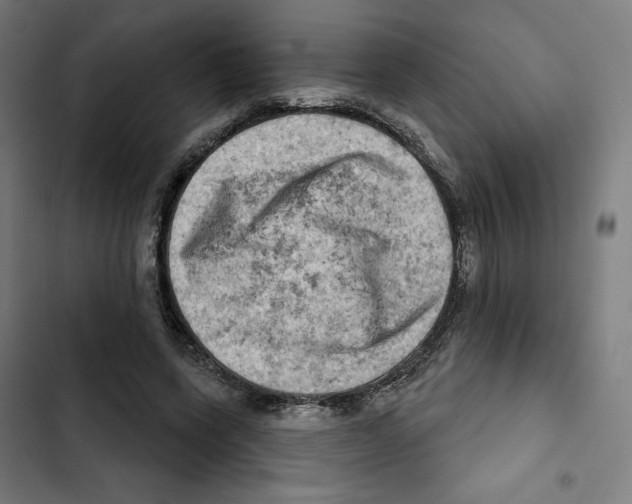 X0000102500543200809051348