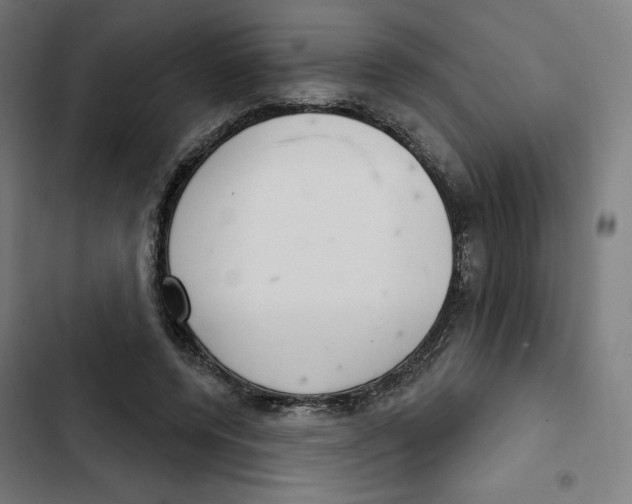 X0000102500544200809051348