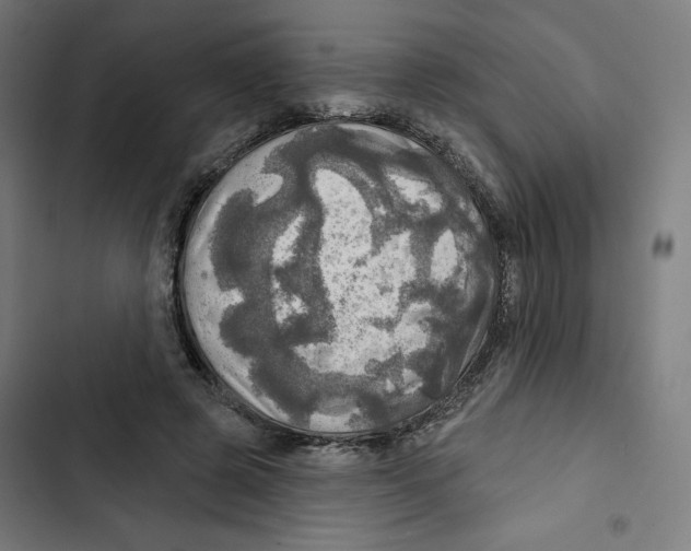 X0000102500545200809051348