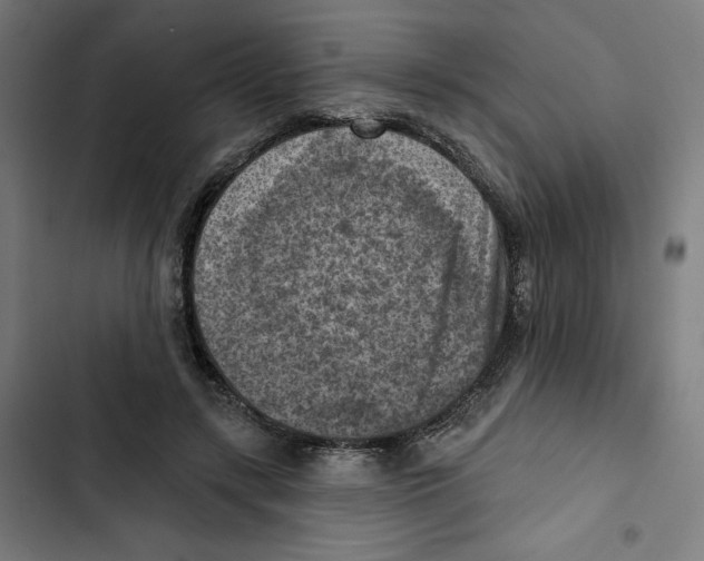 X0000102500547200809051348