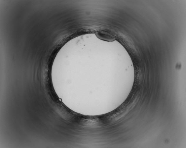 X0000102500548200809051348