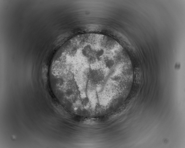 X0000102500550200809051348