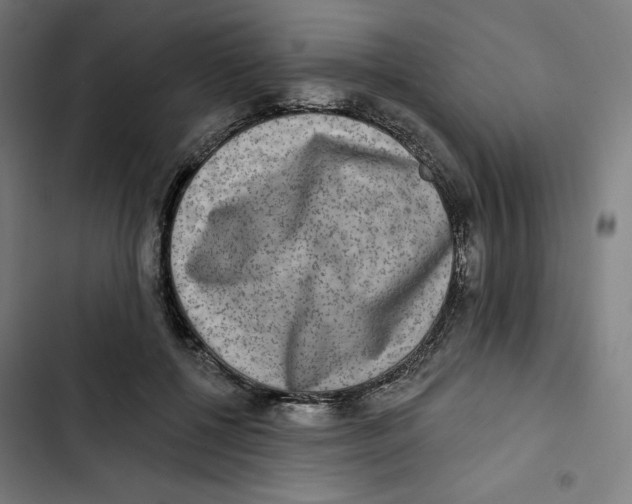 X0000102500552200809051348