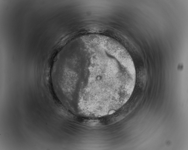 X0000102500554200809051348