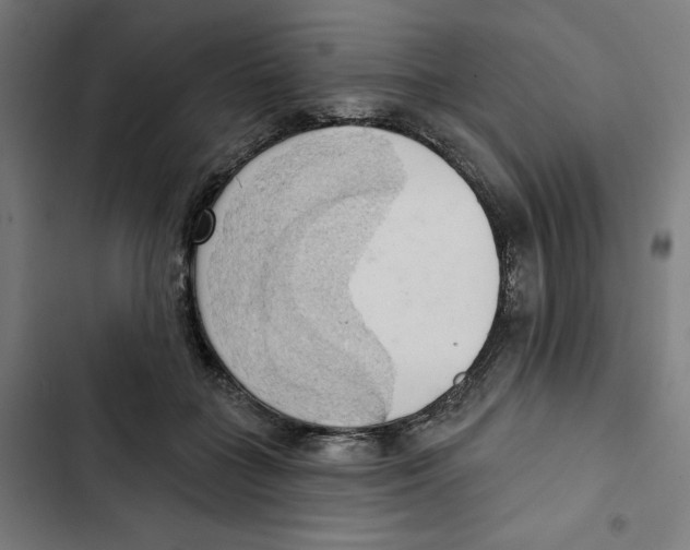 X0000102500555200809051348