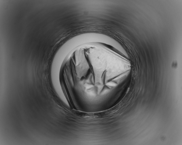 X0000102500556200809051348