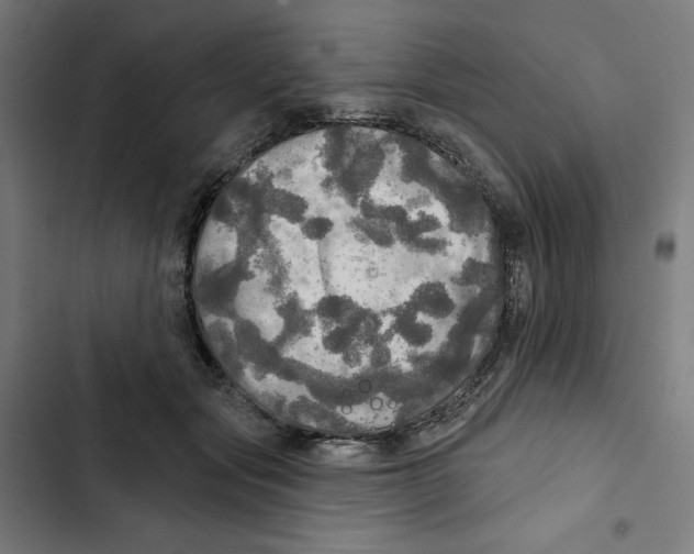 X0000102500557200809051348