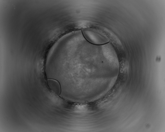 X0000102500560200809051348