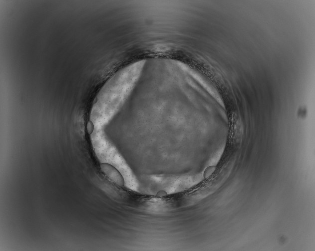 X0000102500562200809051348