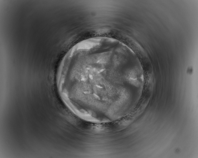 X0000102500565200809051348