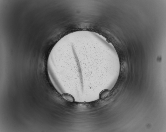 X0000102500566200809051348