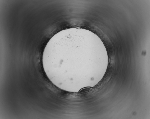 X0000102500567200809051348