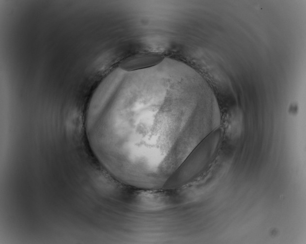 X0000102500568200809051348