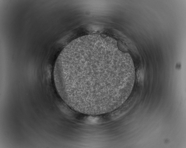 X0000102500570200809051348