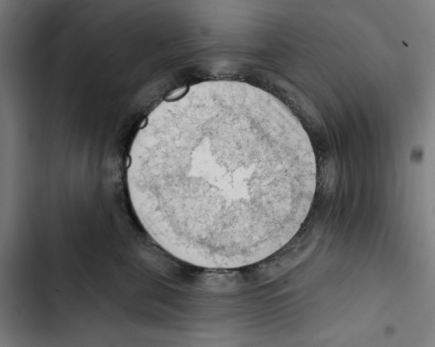 X0000102500571200809051348